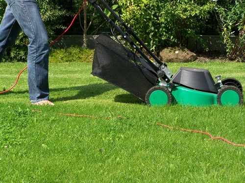 When Is The Best Time to Install Arizona Sod on a Lawn