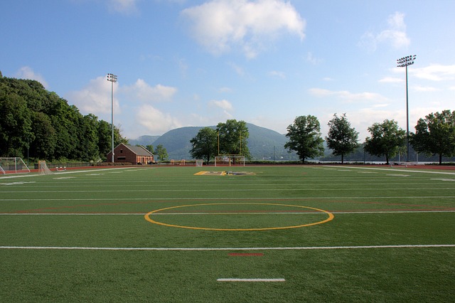 Athletic fields are easy to sod because they have such a standard flat landscape.