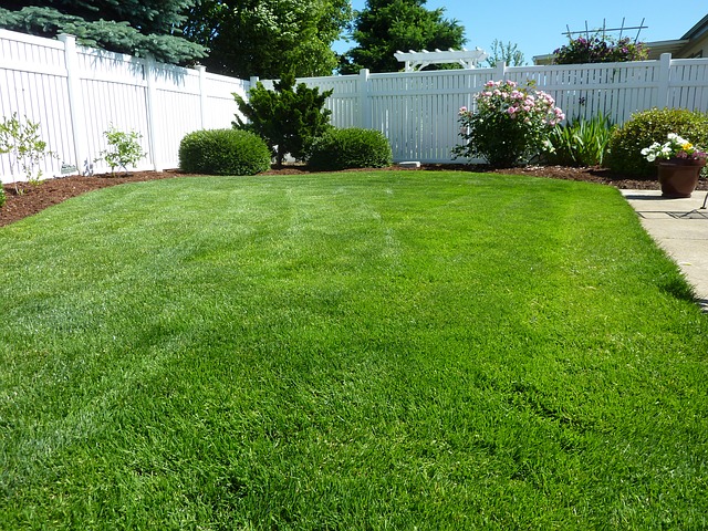 Having a great looking lawn is hard work.