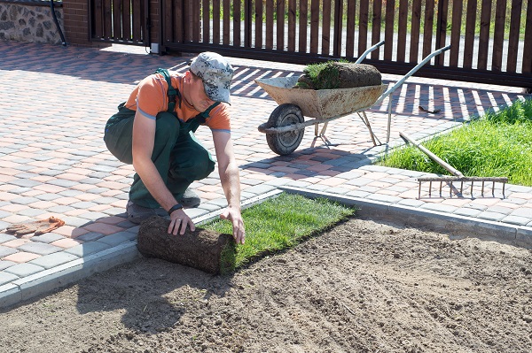 Planting Sod in Fall? 5 Tips for Success