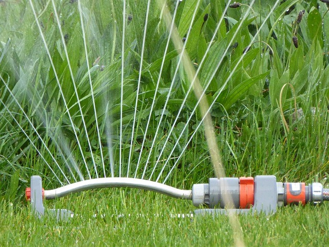 Get a New Lawn Irrigation System to Save Water