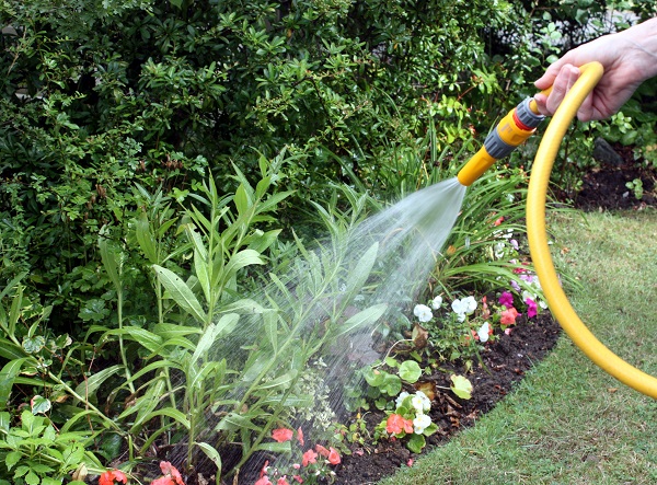 Water your lawn the environmental way
