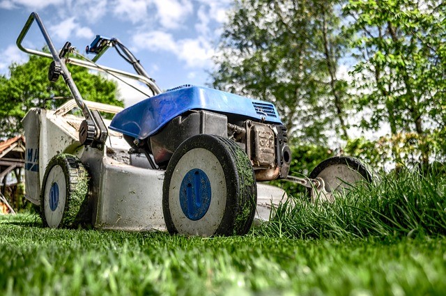 best weed killer for bermuda grass