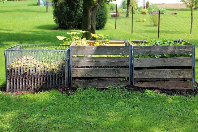 building a compost bin