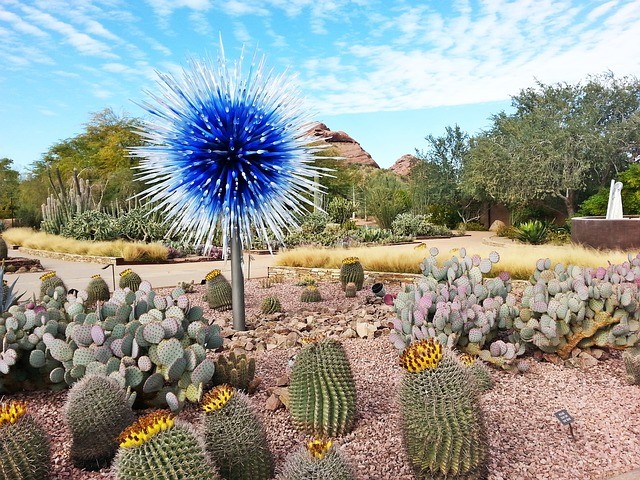 front courtyard ideas arizona