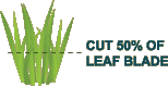 Cut 50% of leaf Blade