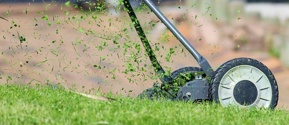 Arizona Home Winter Lawn Care Tips