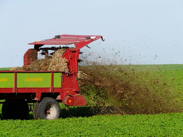 Spring Lawn Care Tip #3: Fertilizing