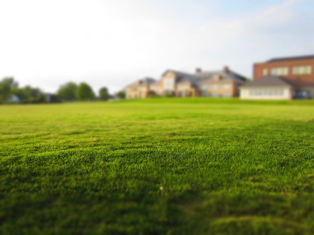 Reasons NOT to Replace Your Lawn with Gravel