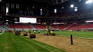 Image 3 of College Football Championship Arizona sod