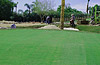 Newly sodded green bunker, work still in progress.