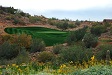 Image 2 of MiniVerde Green Arizona sod