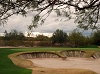 Image 4 of MiniVerde Green Arizona sod