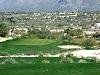 Image 5 of MiniVerde Green Arizona sod