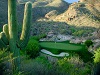 Image 7 of MiniVerde Green Arizona sod