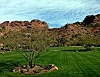 Image 1 of residential sod in Arizona