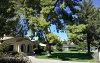 Image 5 of residential sod in Arizona