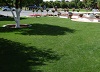 Image 7 of residential sod in Arizona